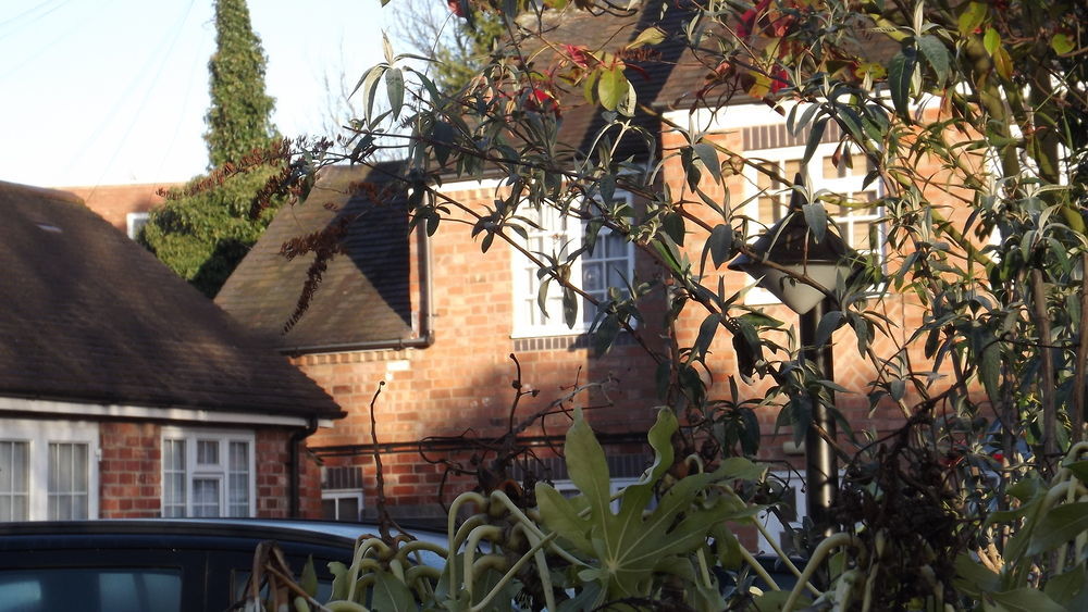 The Peacock Townhouse Hotel Kenilworth - Warwick 외부 사진